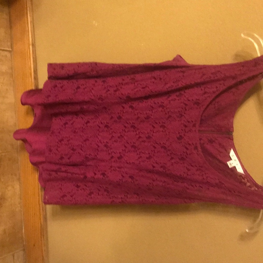 Cabi 2 piece lace and silk dress tank